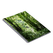 Carnet Dominicain Forêt de pluie II Vert tropical (Côté Droit)