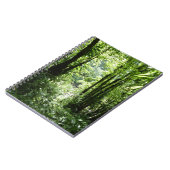Carnet Dominicain Forêt de pluie II Vert tropical (Côté gauche)
