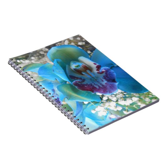 Carnet Donella (Côté Droit)