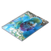 Carnet Donella (Côté gauche)