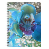 Carnet Donella (Devant)