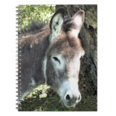 CARNET DONKEY (Devant)