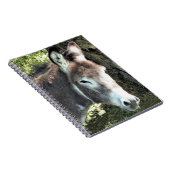 CARNET DONKEY (Côté Droit)