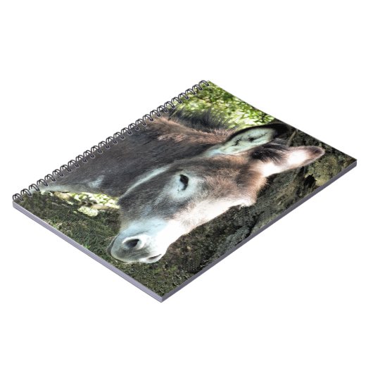 CARNET DONKEY (Côté gauche)