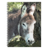 CARNET DONKEY (Devant)