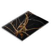 Carnet d'or (Côté gauche)