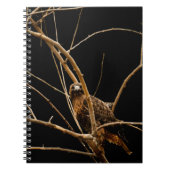 Carnet d'or (Devant)