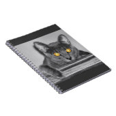 Carnet d'or Dusky (Côté Droit)