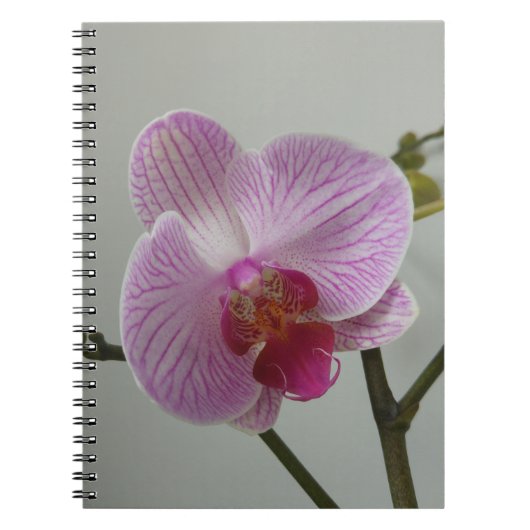 Carnet d'orchidée (Devant)