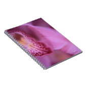 Carnet d'orchidée rose (Côté Droit)