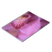 Carnet d'orchidée rose (Côté gauche)