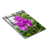 Carnet d'orchidées (Côté Droit)
