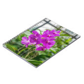 Carnet d'orchidées (Côté gauche)