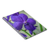 Carnet d'orchidées violettes vanda (Côté Droit)