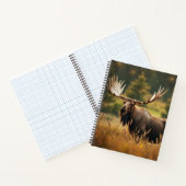 Carnet d'orignal (Intérieur)