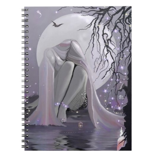 Carnet Dormir au clair de lune ! (Devant)