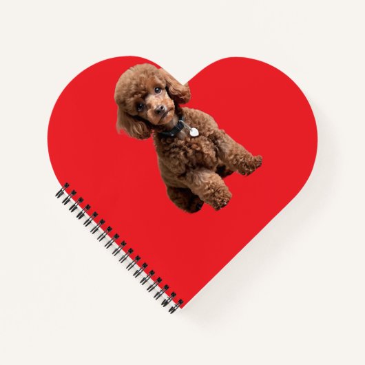 Carnet Dossier Rouge Caniche Tasse Mignon (Devant)
