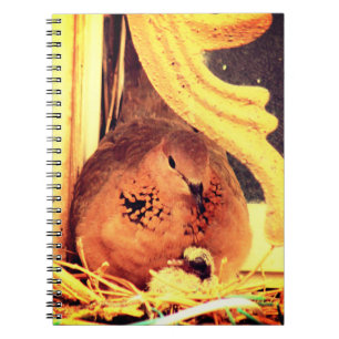 Carnet Doting Mama Dove