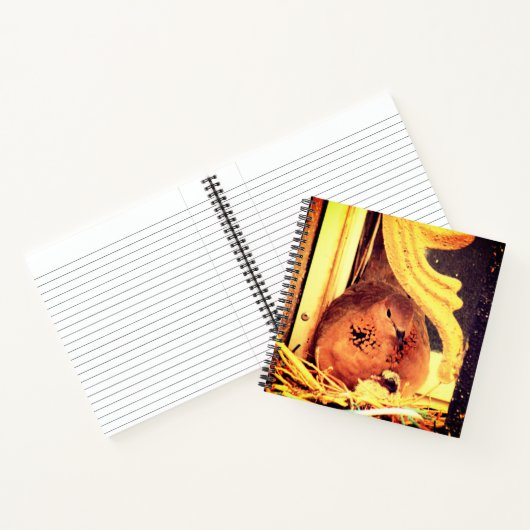 Carnet Doting Mama Dove (Intérieur)