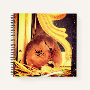 Carnet Doting Mama Dove