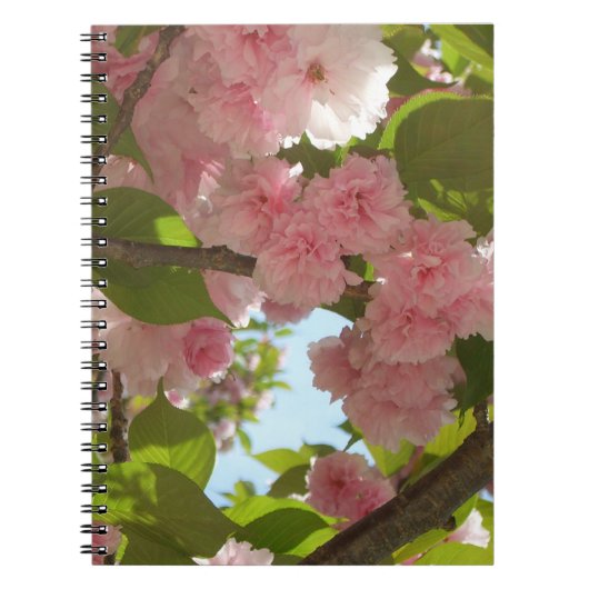 Carnet Double floraison cerisier III printemps fleuri (Devant)