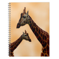 Double problème de girafe,