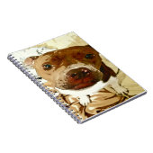 Carnet Douce Pibble Face (Côté Droit)