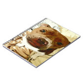 Carnet Douce Pibble Face (Côté gauche)