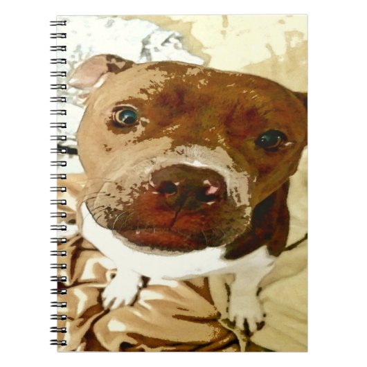 Carnet Douce Pibble Face (Devant)