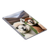 Carnet Douceur & Amitié (Côté Droit)