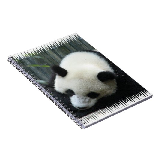 Carnet d'ours panda (Côté Droit)