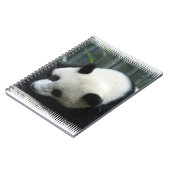 Carnet d'ours panda (Côté gauche)