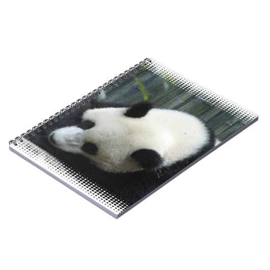 Carnet d'ours panda (Côté gauche)