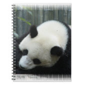 Carnet d'ours panda (Devant)