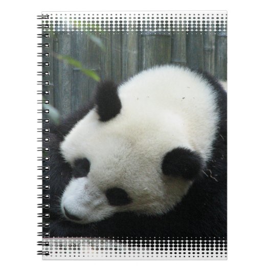 Carnet d'ours panda (Devant)