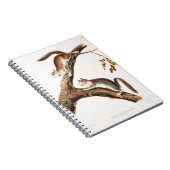 Carnet Downy Brown Squirrel House (Côté Droit)