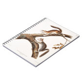 Carnet Downy Brown Squirrel House (Côté gauche)