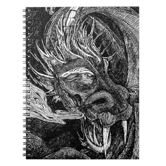 Carnet Dragon (Devant)