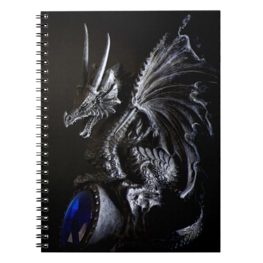 Carnet Dragon (Devant)