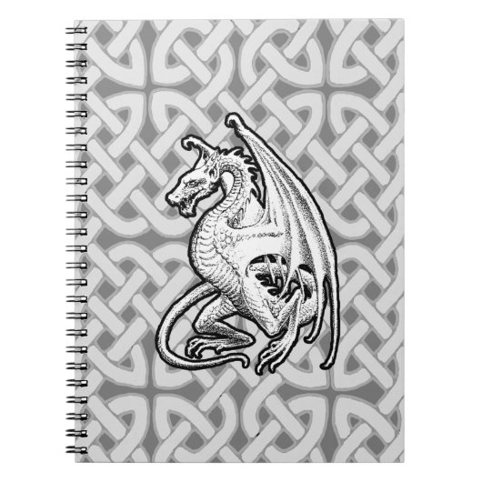 Carnet Dragon ailé (Devant)