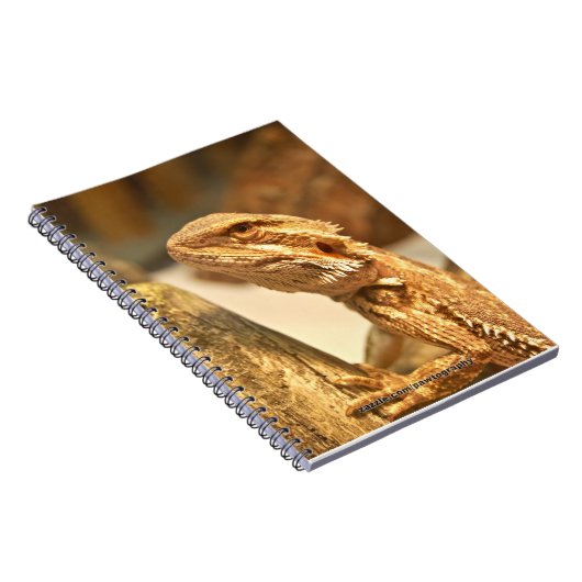 Carnet Dragon barbu (Côté Droit)