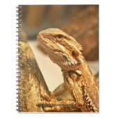 Carnet Dragon barbu (Devant)
