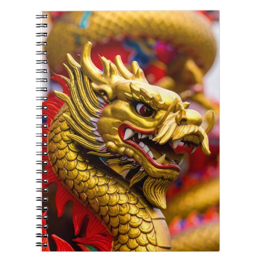 Carnet Dragon Chinois (Devant)