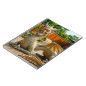 Carnet Dragon de l'Équilibre (Côté gauche)