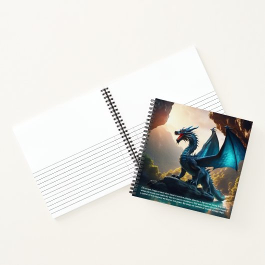 Carnet Dragon Hardcover (Intérieur)