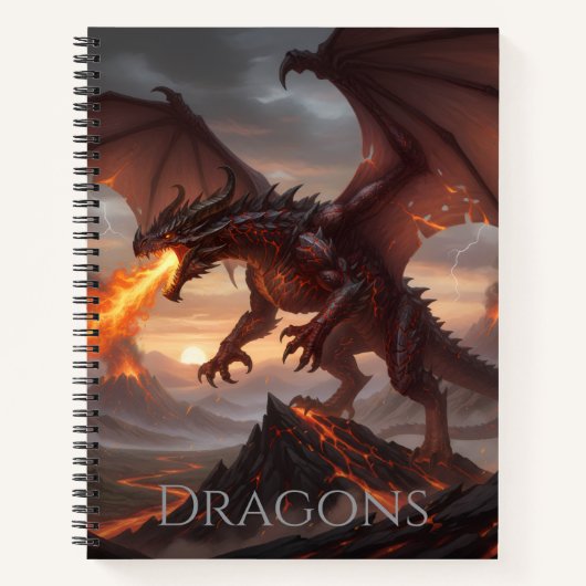 Carnet Dragon Notebook  (Devant)