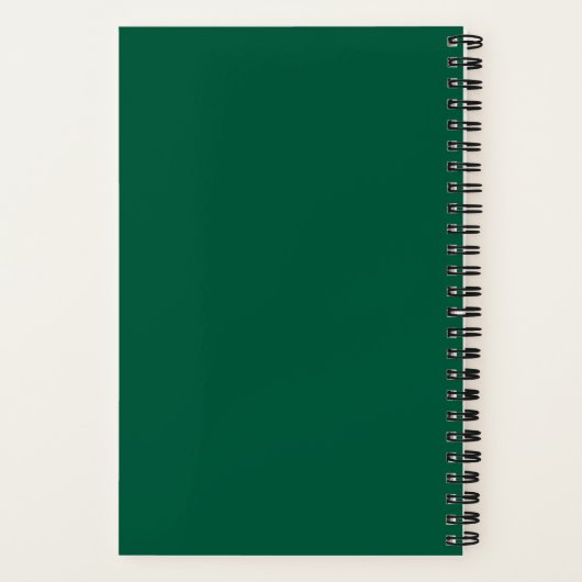 Carnet Dragon Reptile Balances Vert Bleu Jaune Armure (Verso)