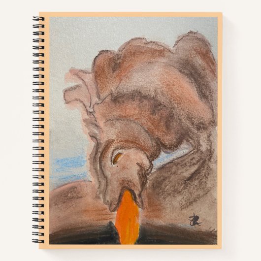 Carnet Dragonfire (Devant)