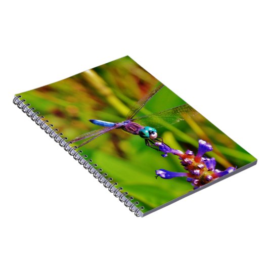 Carnet Dragonfly (Côté Droit)