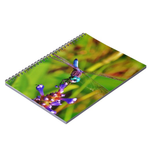 Carnet Dragonfly (Côté gauche)